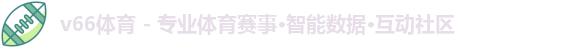 v66体育